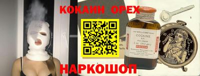 тгк Бийск