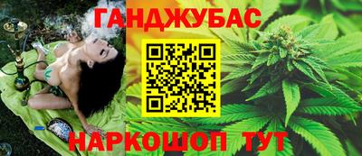 тгк Бийск