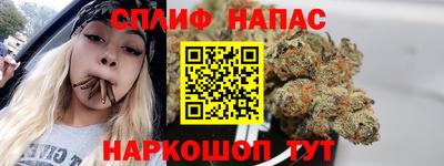 гидра Беслан