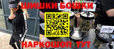 тгк Бийск