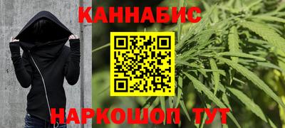 тгк Бийск