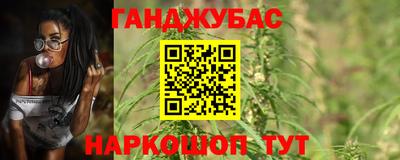 тгк Бийск