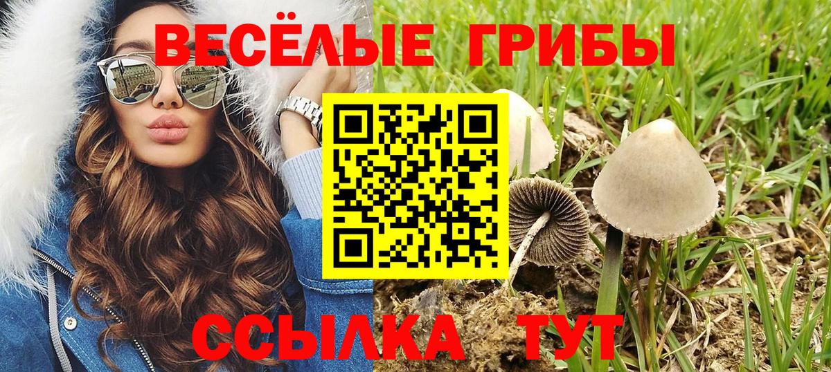 Галлюциногенные грибы Cubensis Каменск-Уральский